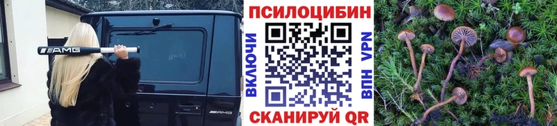 Купить  Неман  Галлюциногенные грибы MAGIC MUSHROOMS 